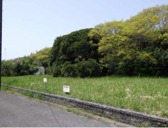 nynʐ^