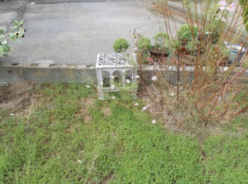 ���n�y�n�ʐ^