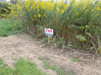 ���n�y�n�ʐ^