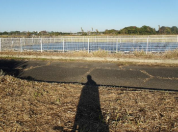 ���n�y�n�ʐ^