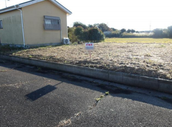 ���n�y�n�ʐ^