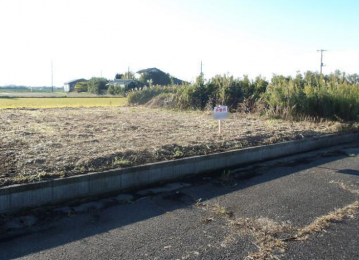 ���n�y�n�ʐ^