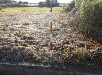 ���n�y�n�ʐ^