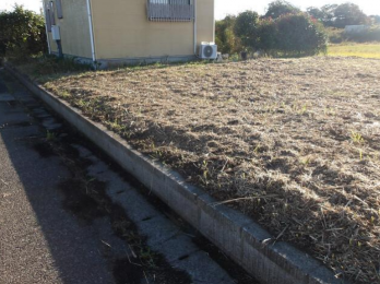 ���n�y�n�ʐ^