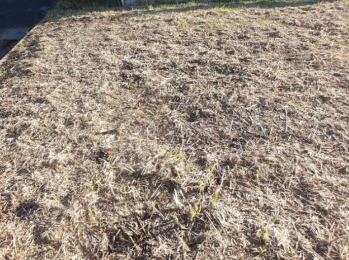 ���n�y�n�ʐ^