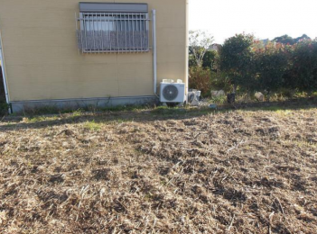 ���n�y�n�ʐ^