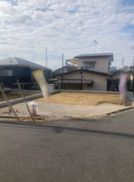 ���n�y�n�ʐ^