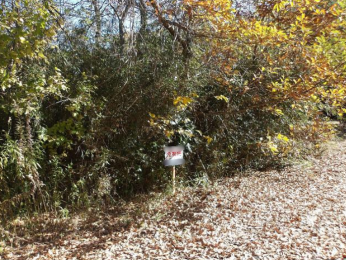 ���n�y�n�ʐ^