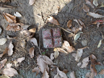 ���n�y�n�ʐ^