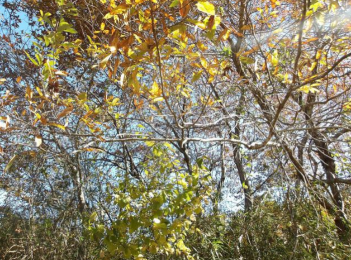 ���n�y�n�ʐ^