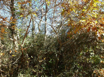 ���n�y�n�ʐ^