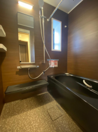 �����F�V�i�����ς�