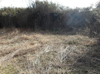 ���n�y�n�ʐ^