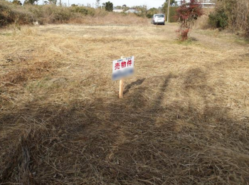 ���n�y�n�ʐ^