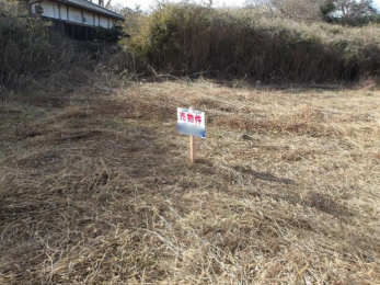 ���n�y�n�ʐ^