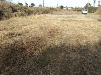 ���n�y�n�ʐ^