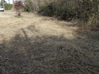 ���n�y�n�ʐ^