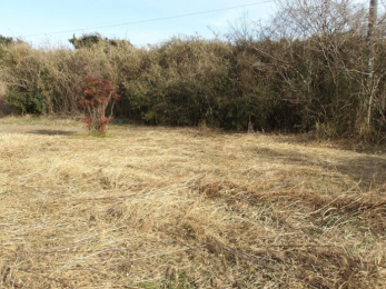 ���n�y�n�ʐ^