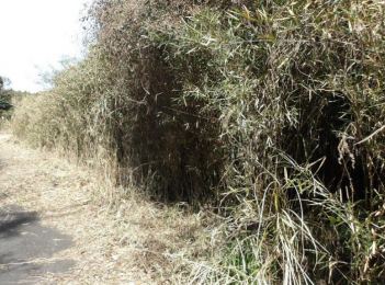 ���n�y�n�ʐ^