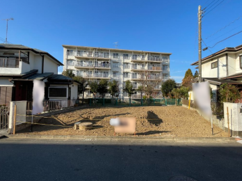 ���n�y�n�ʐ^