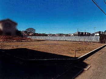 ���n�y�n�ʐ^