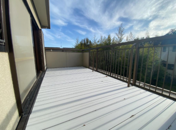 �o���R�j�[