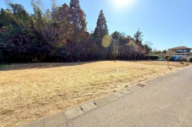 ���n�y�n�ʐ^