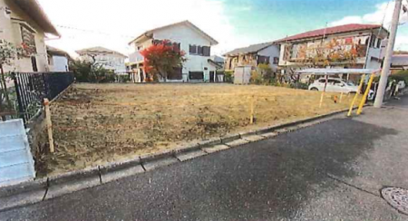 ���n�y�n�ʐ^