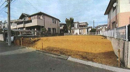 ���n�y�n�ʐ^