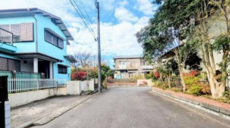 ���n�y�n�ʐ^