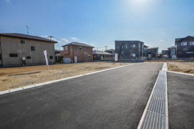 ���n�y�n�ʐ^