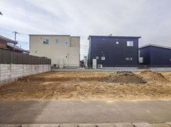 ���n�y�n�ʐ^