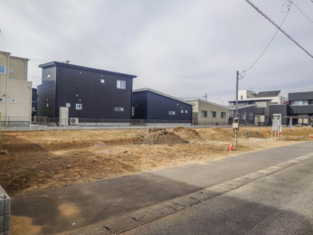 ���n�y�n�ʐ^