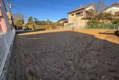 ���n�y�n�ʐ^