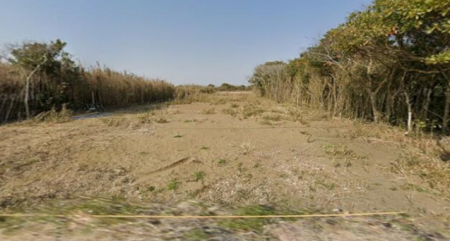 ���n�y�n�ʐ^