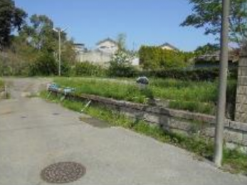 ���n�y�n�ʐ^