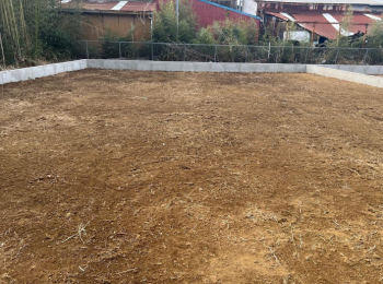 ���n�y�n�ʐ^