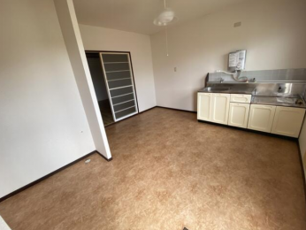 �_�C�j���O�L�b�`��