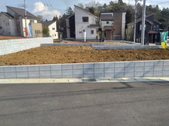 ���n�y�n�ʐ^